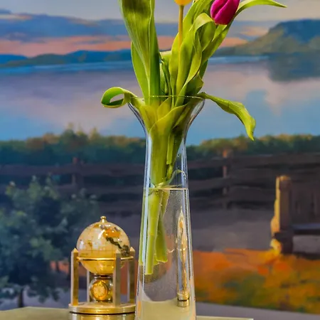 Apartment Elite Place